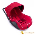 Babydoes Carseat (1)